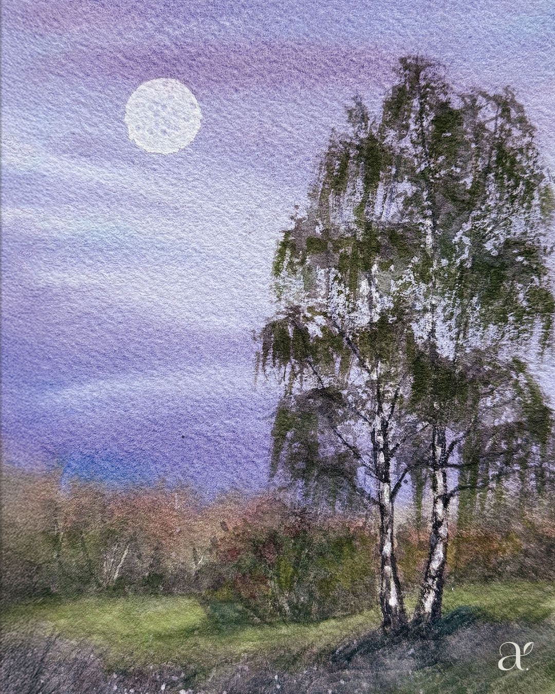 Winter stillness
