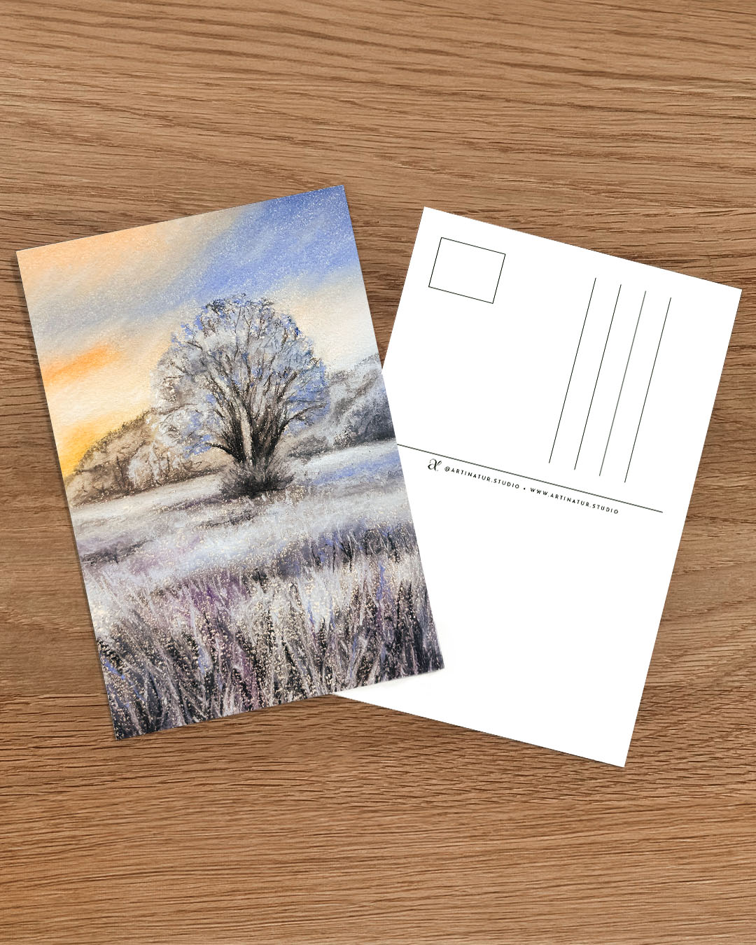 Tree in a frosty landscape