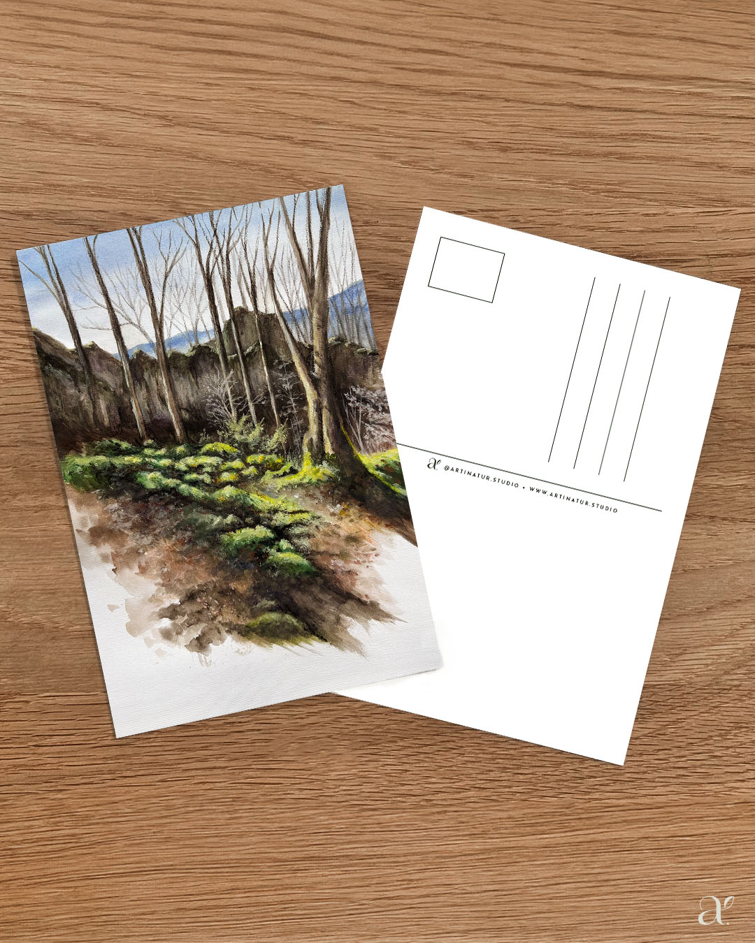 Moosbedeckte Felsen im Frühlingslicht