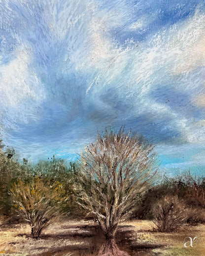 Wolkenspiel (12_2/53)