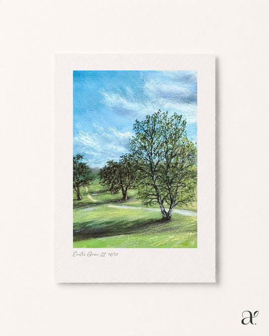 Erstes Grün II (16/53)