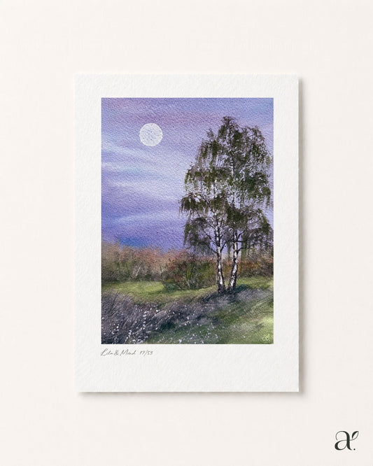 Lila & Mond (17/53)