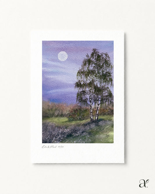 Lila & Mond (17/53)