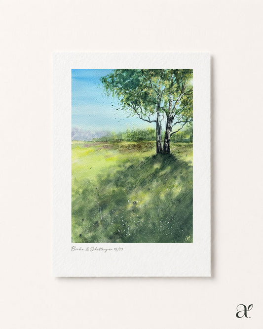 Birke & Schattengrün (18/53)
