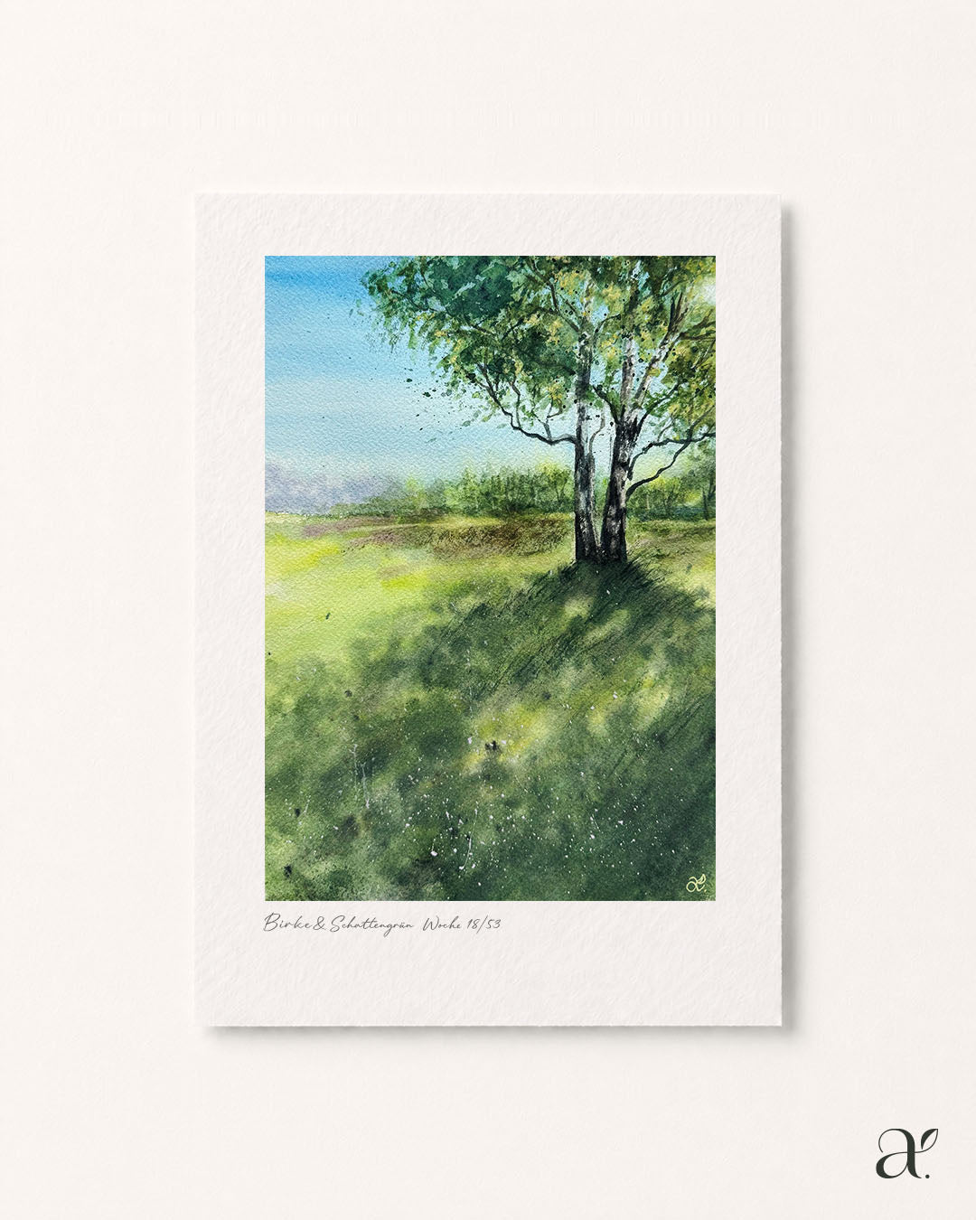 Birke & Schattengrün (18/53)