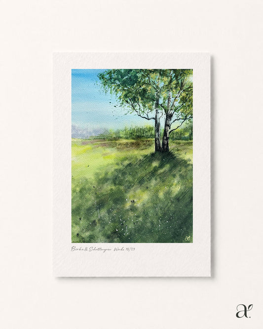 Birke & Schattengrün (18/53)