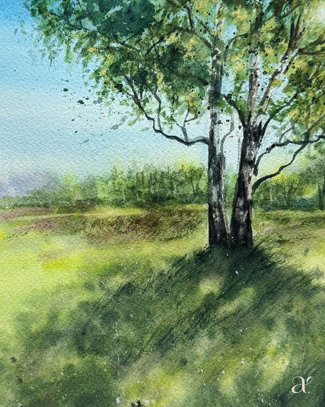 Birke & Schattengrün (18/53)