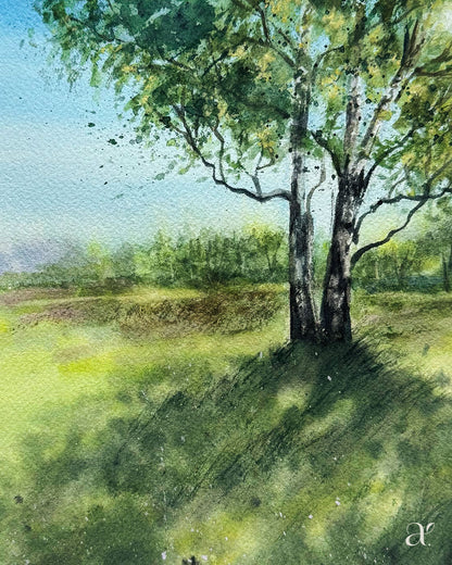 Birke & Schattengrün (18/53)