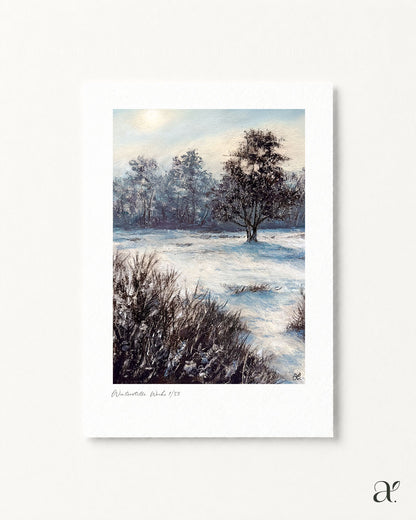 Winter stillness