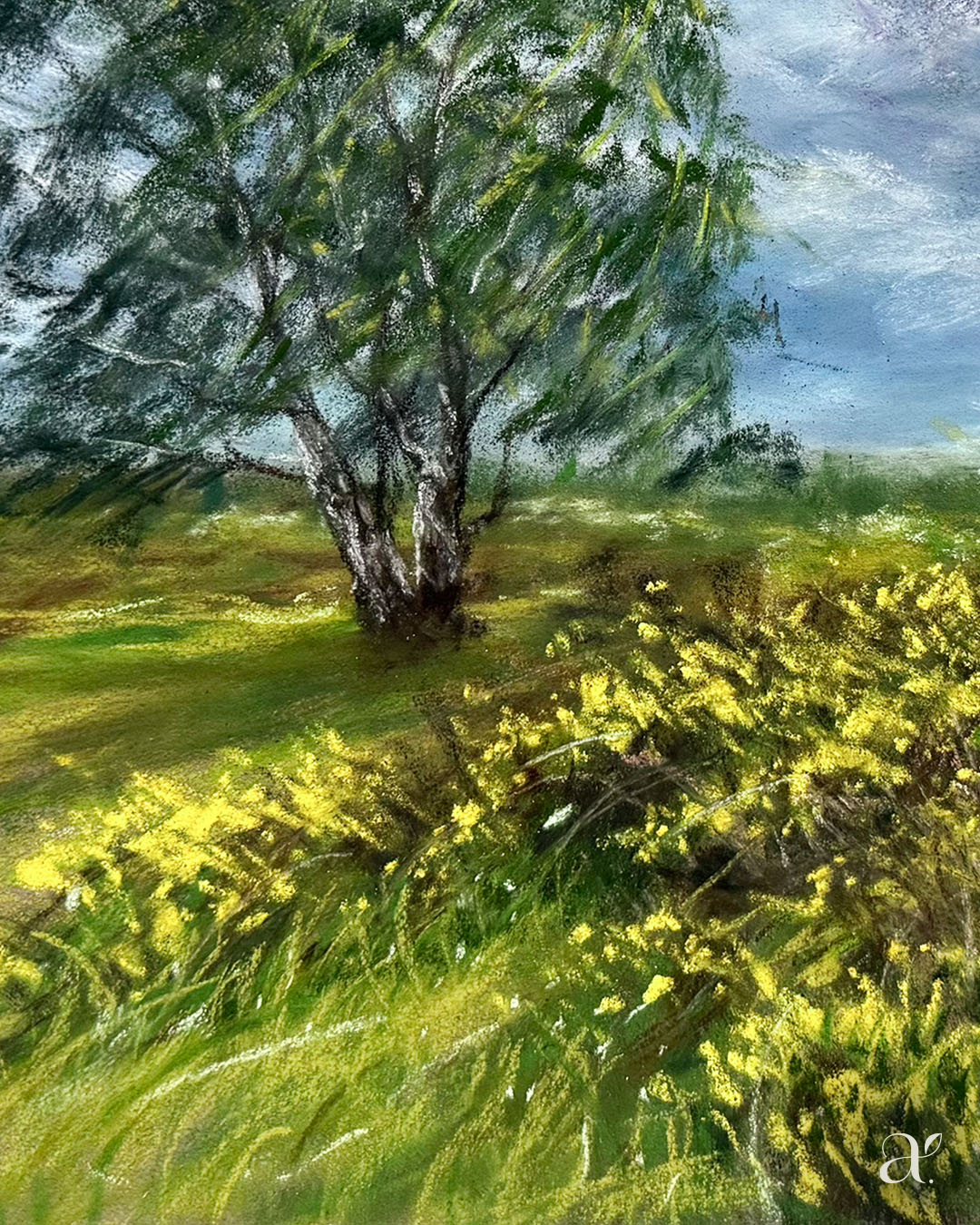 Ginster-Meer (20/53)