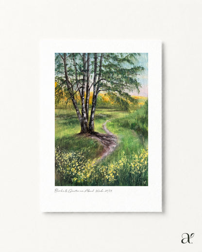 Birke & Ginster in Abendsonne (21/53)