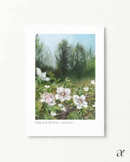Pappeln & Hundsrosen (22/53)