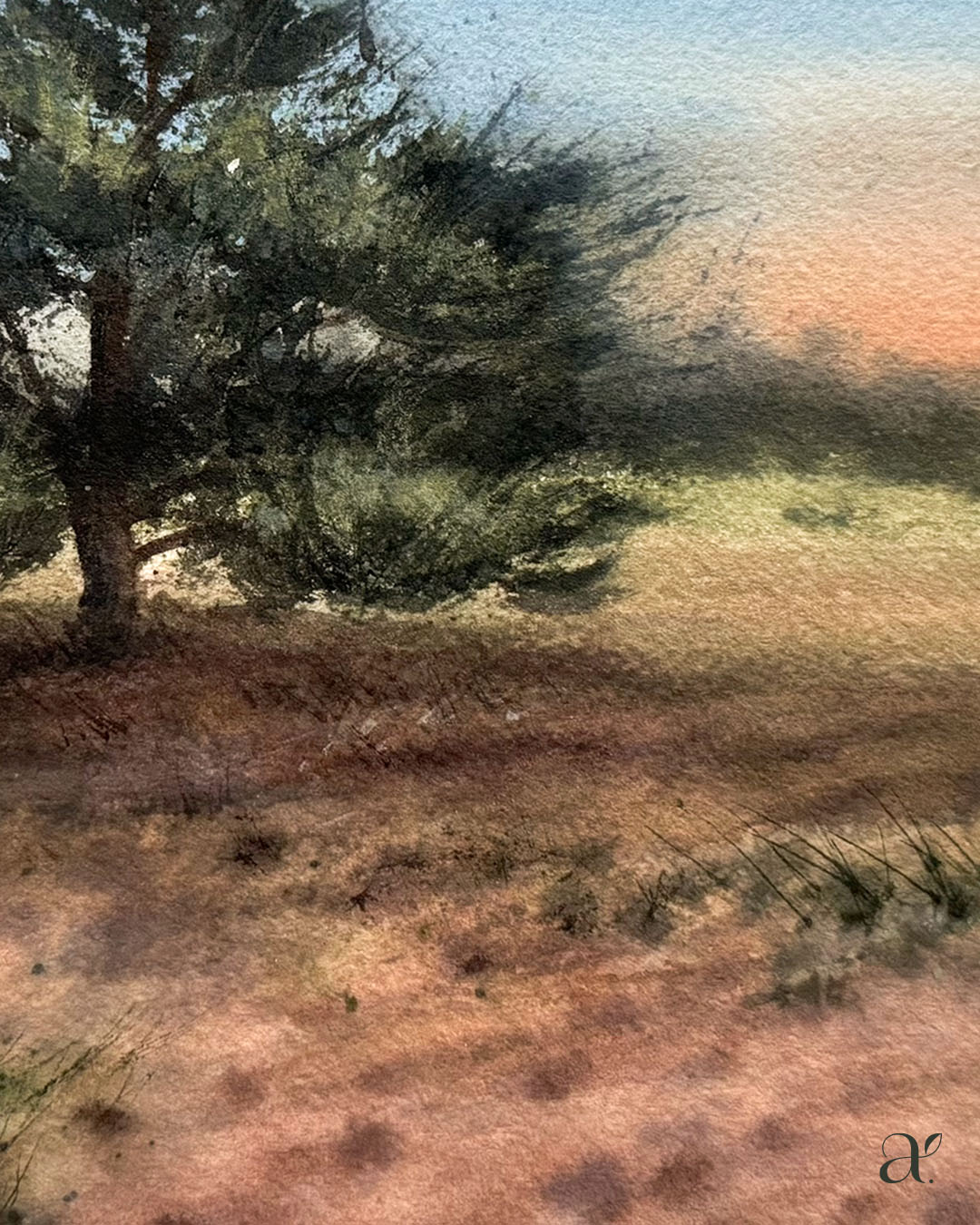 Kiefer in Abendsonne (23/53)