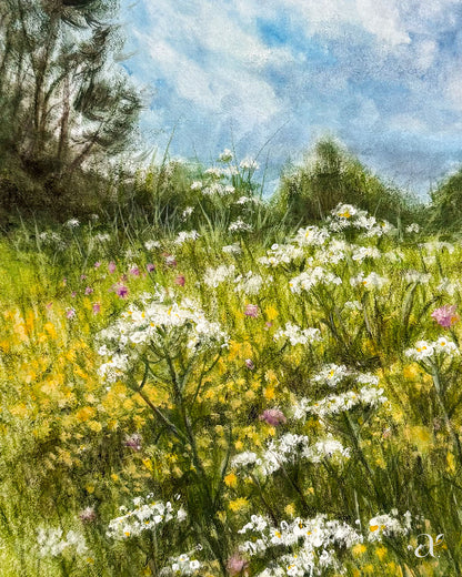 Wiesenblumen-Meer (Woche 29/53)