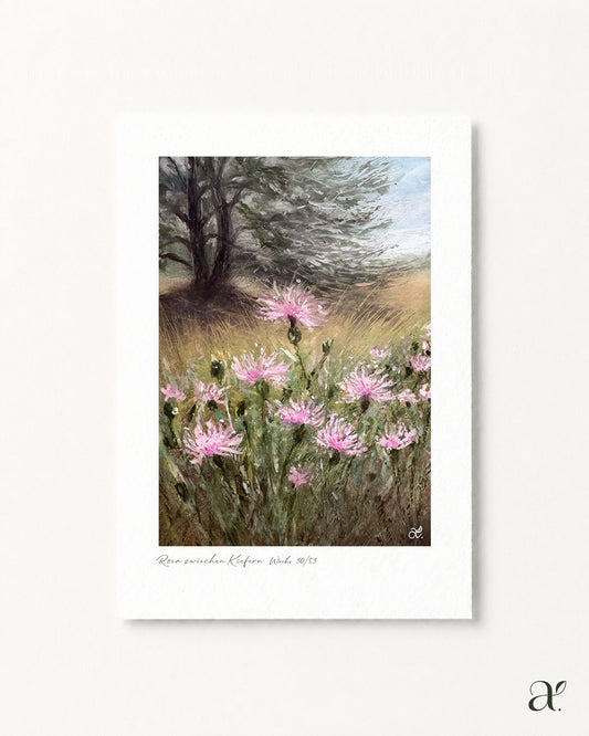 Rosa zwischen Kiefern (Woche 30/53)