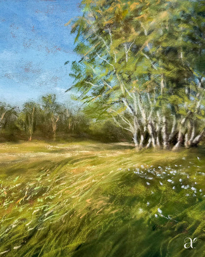 Grünes Meer am Abend (32/53)