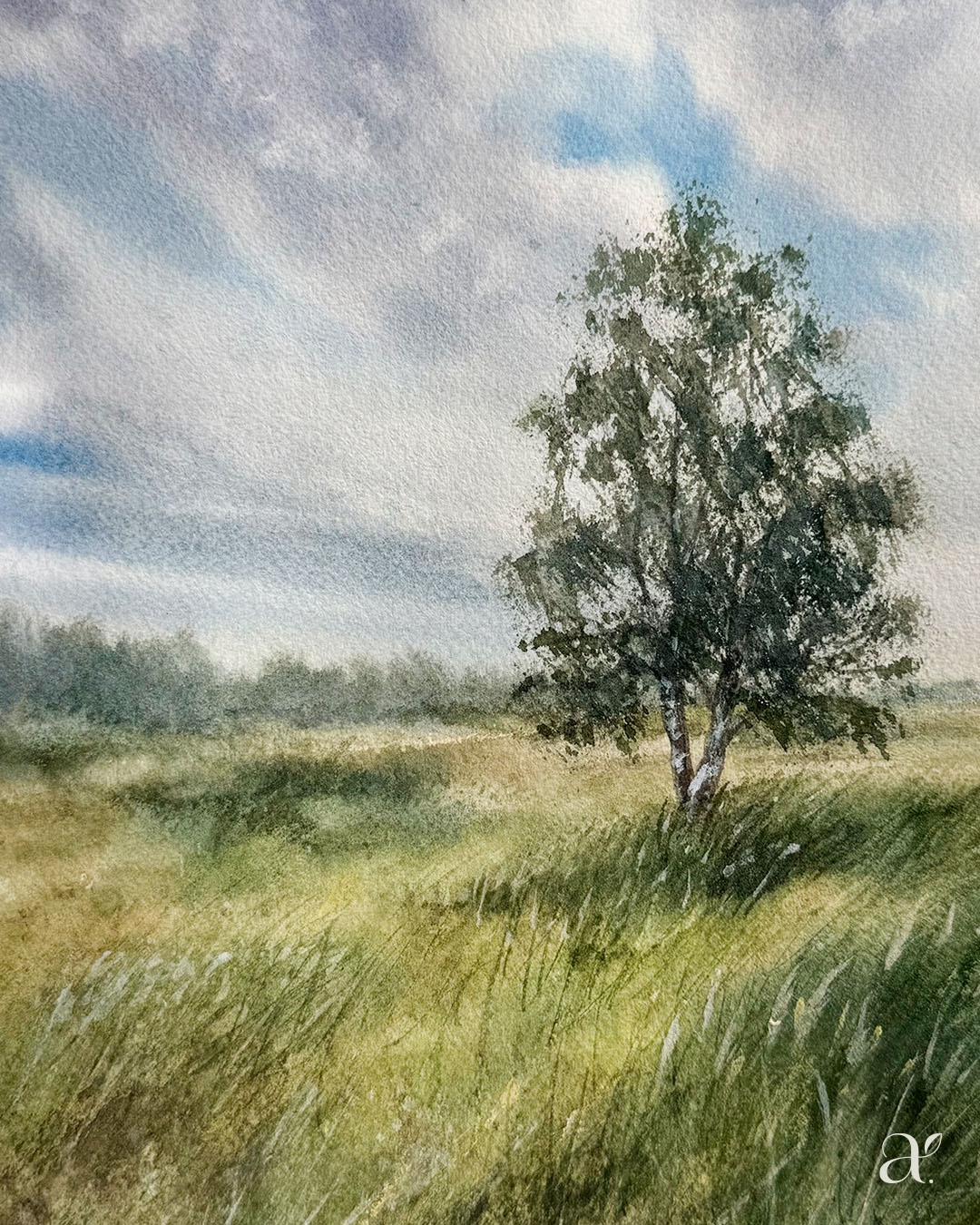 Nach dem Regen (34/53)