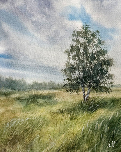 Nach dem Regen (34/53)