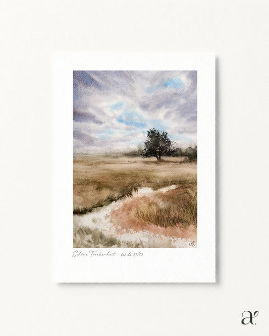 Winter stillness