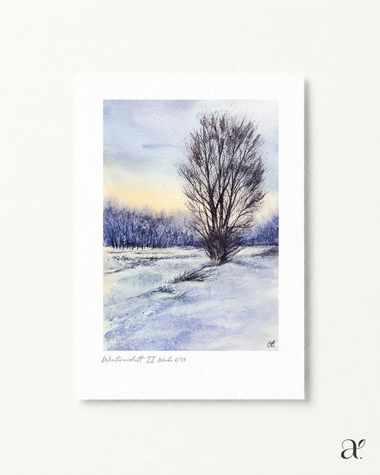 Winterviolett II (6/53)