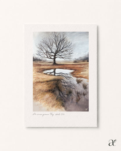 Winter stillness