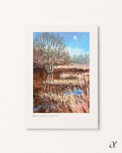 Winter stillness