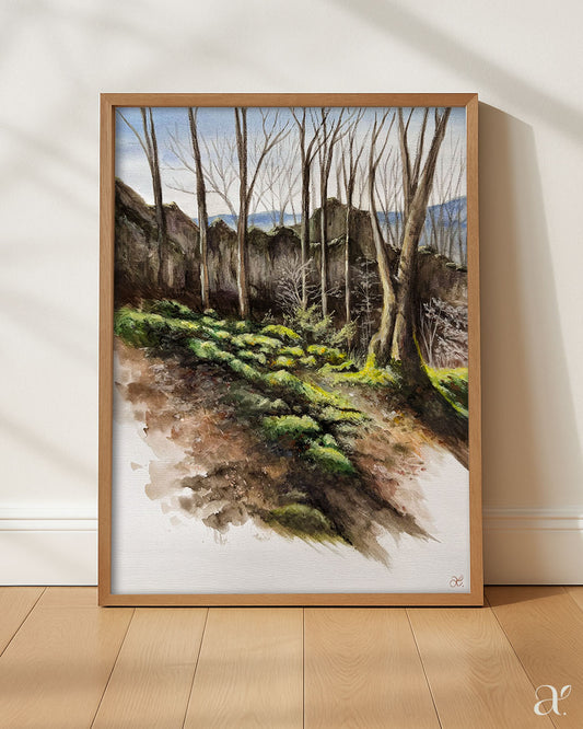 Moosbedeckte Felsen im Frühlingslicht